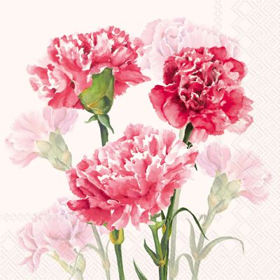 Timeless Red Carnations Cocktail Napkins, set of 20