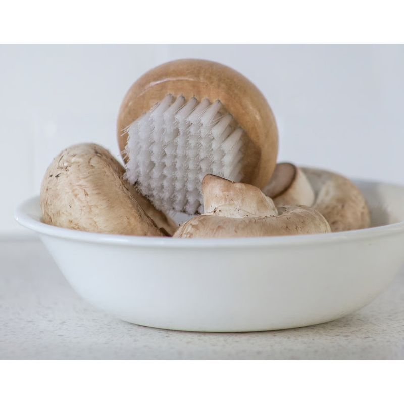 Fox Run Mushroom Brush