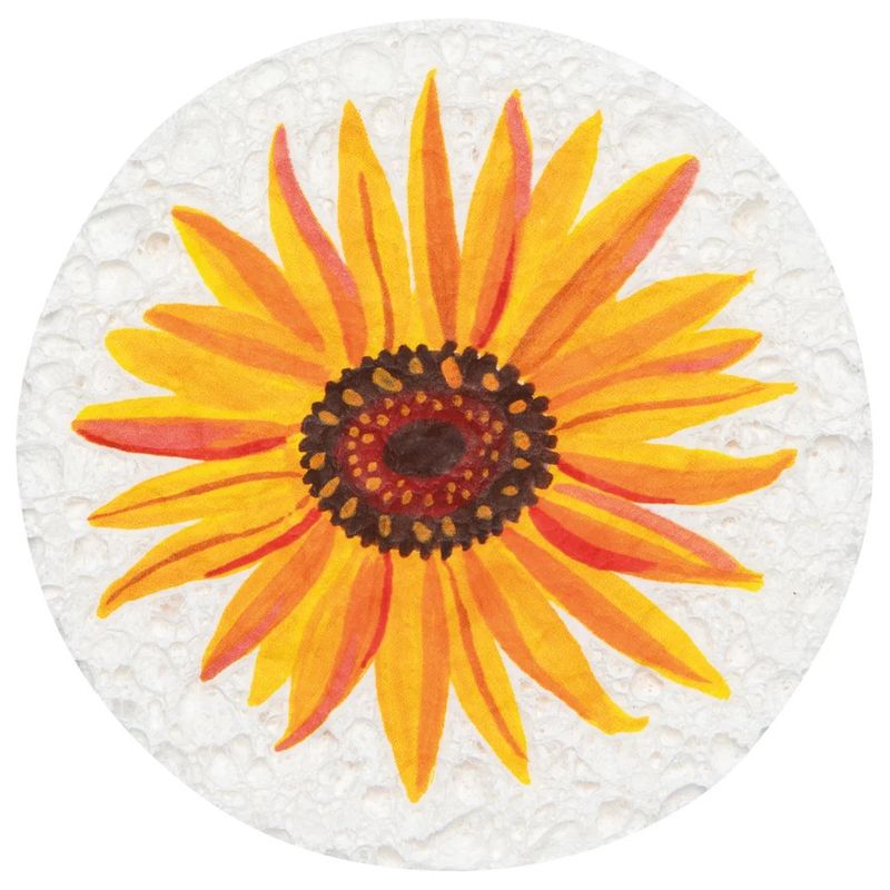 Fall Compostable Sponge