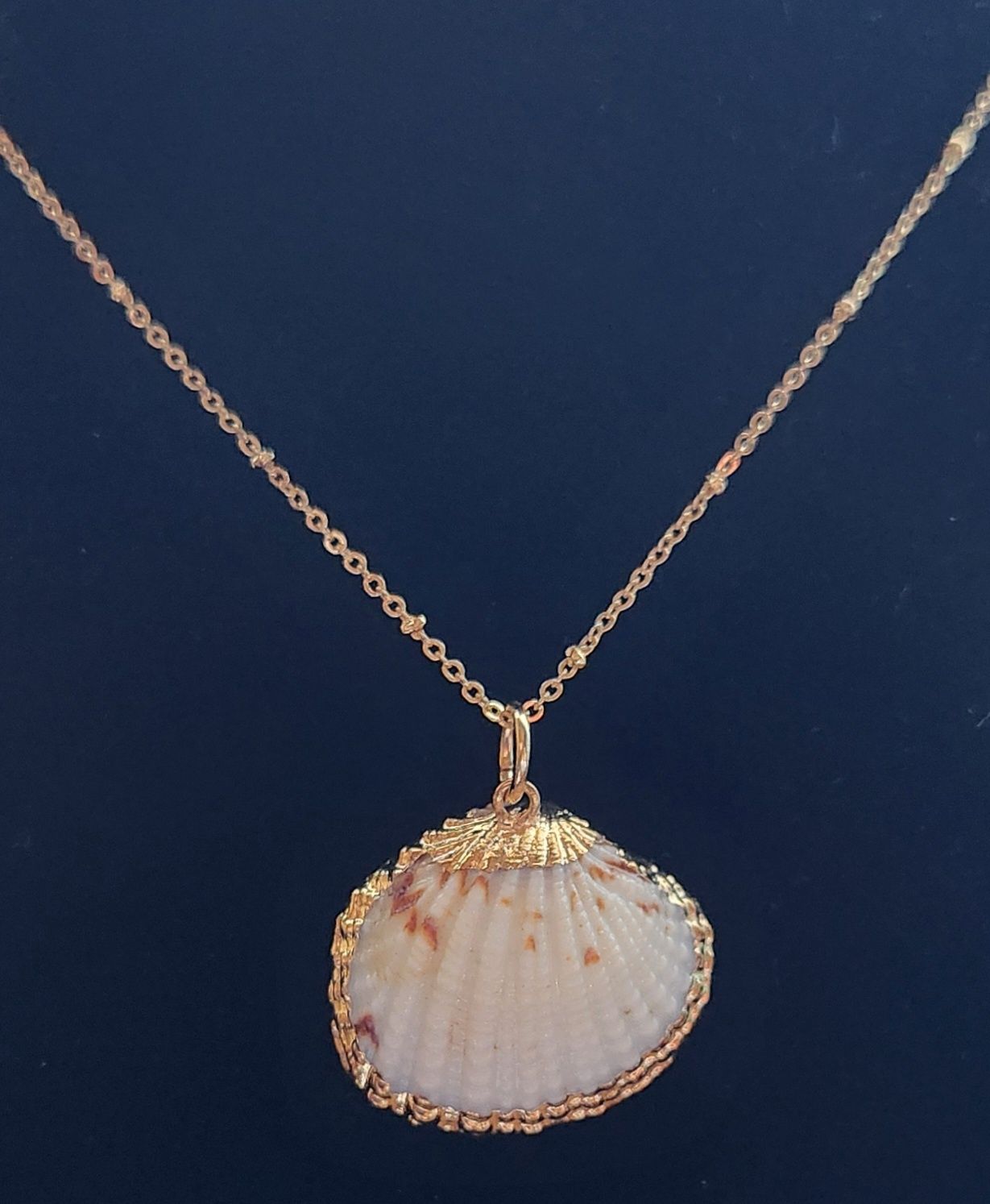 Natural Shell Pendant with gold trim