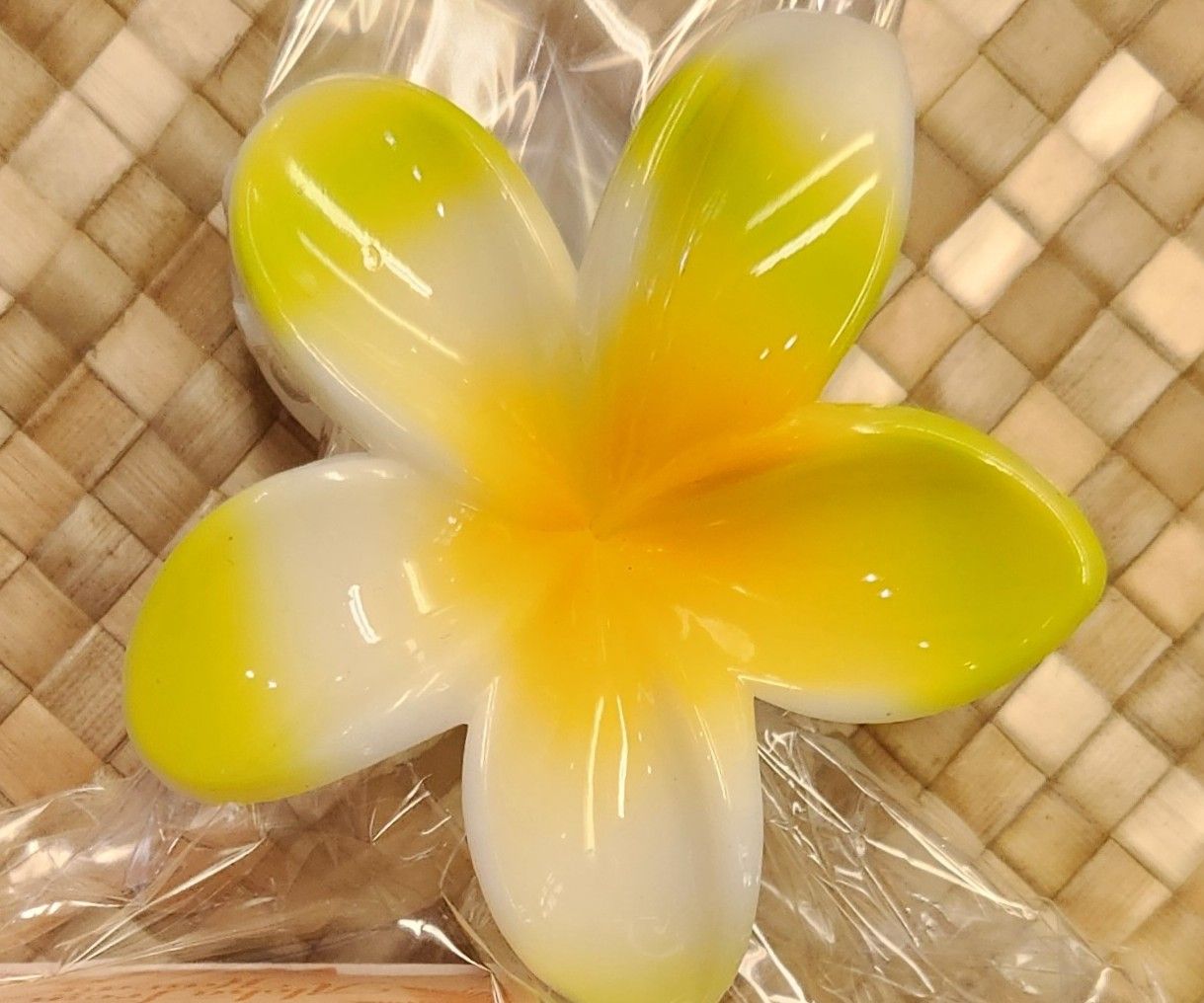 Pua Plumeria hair clips