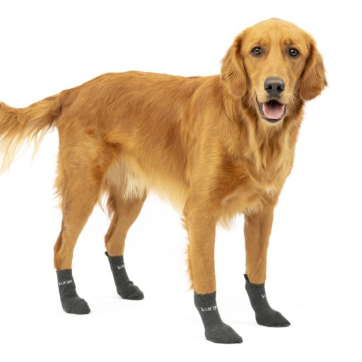 Kurgo Blaze Dog Socks - Stretch Socks for Dog Shoes  Medium