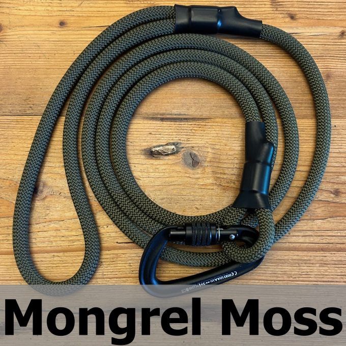 Mountain Dog Carabiner Clip Leash 10&#39;