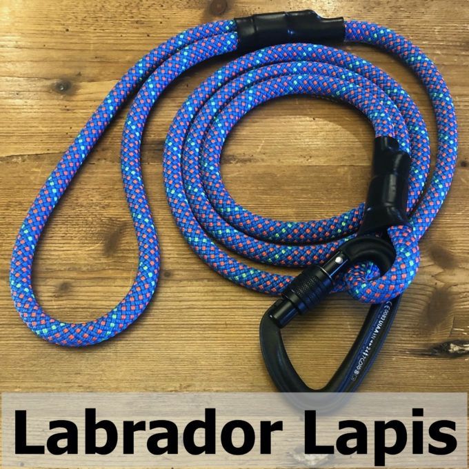 Mountain Dog Carabiner Clip Leash 6'