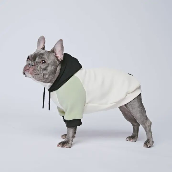 Spark Paws Olive Cream Hoodie Medium