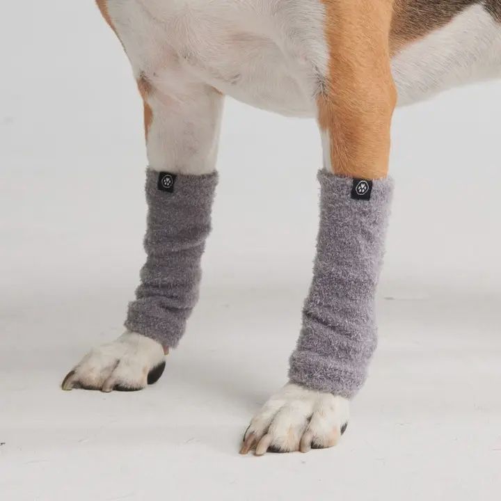 Spark Paws Leg Warmer, Color/Size: Grey Large