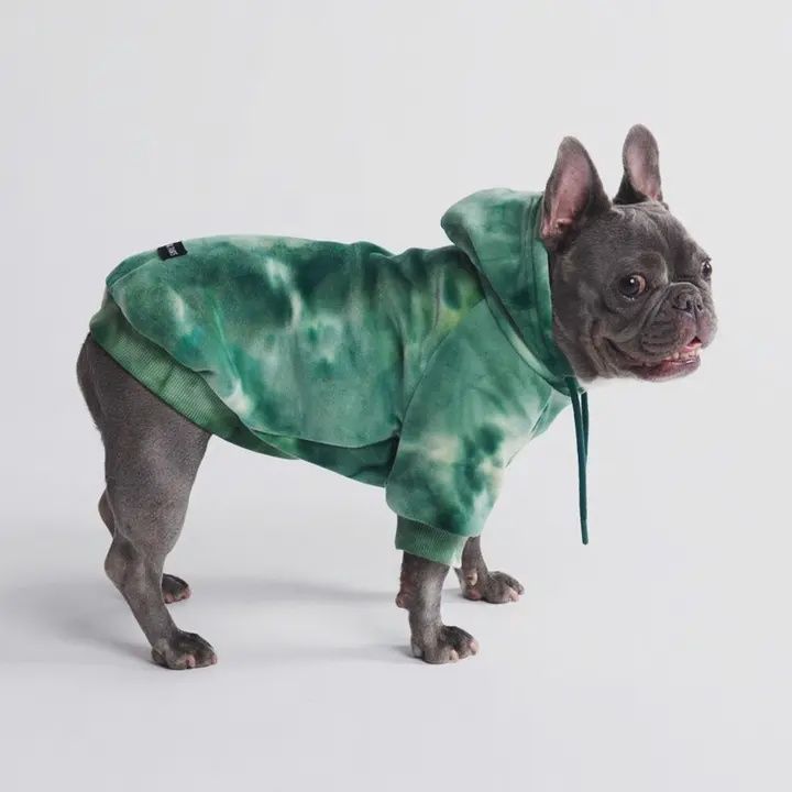 Spark Paws Velvet Hoodie, Color/Size: Green Small