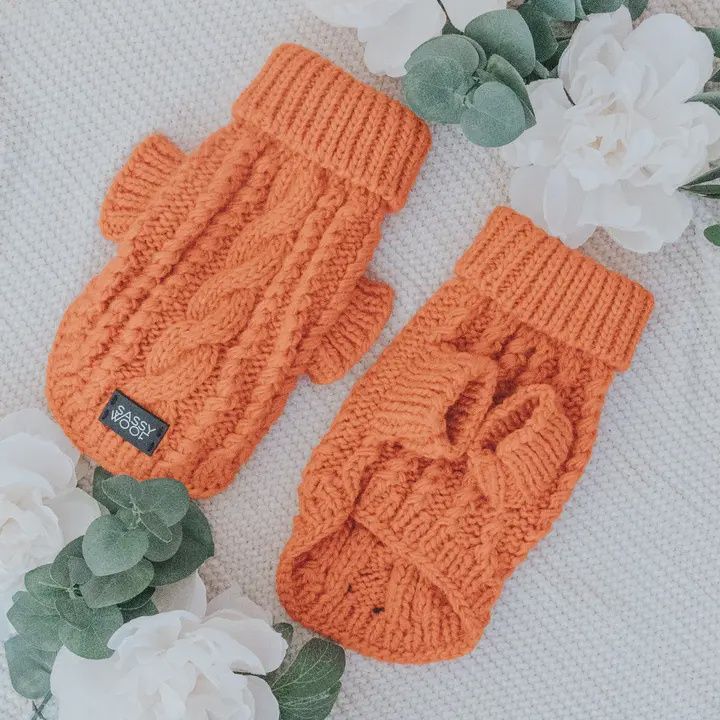 Sassy Woof Cable Knit Sweater Medium, Color: Orange