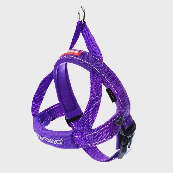 EzyDog Harness Purple XL