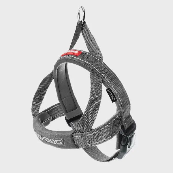 EzyDog Quick Fit Harness Gray XL
