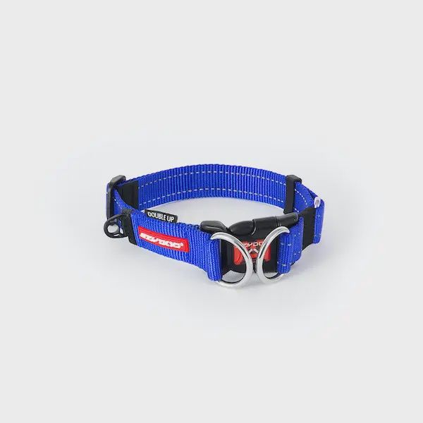 Ezydog Doubleup Collar Blue, Size: Medium