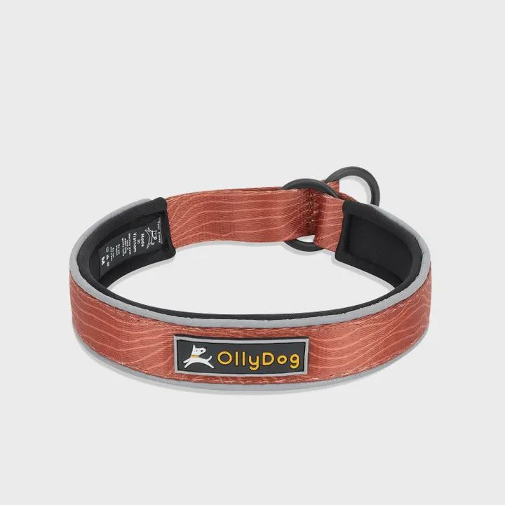 Olly Dog Martingale Collar Clay Woodgrain