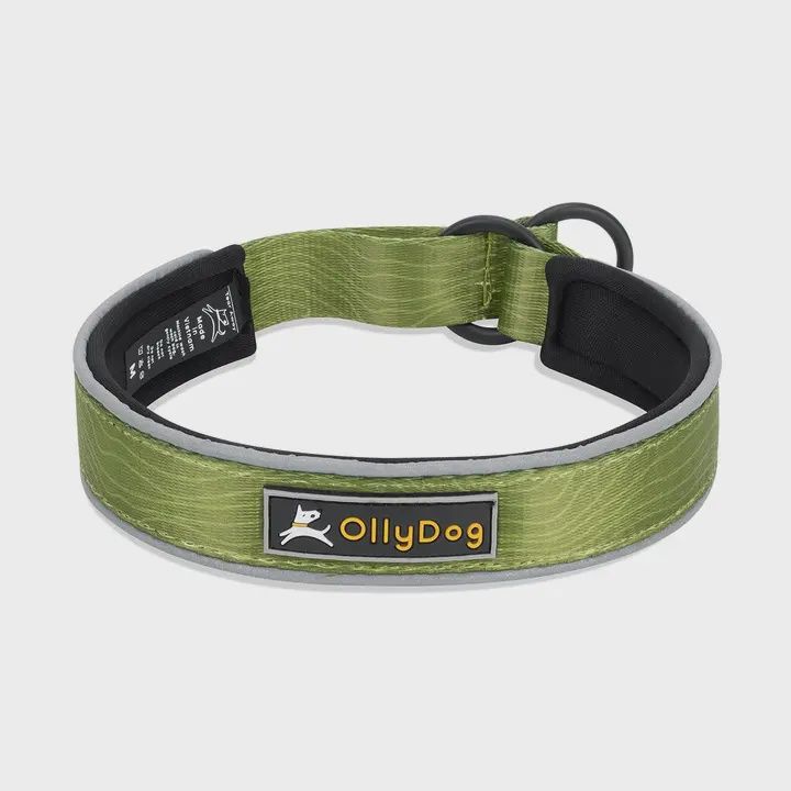 Olly Dog Martingale Cactus Woodgrain