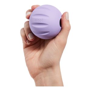 Woof Forager Flyball