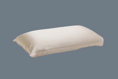 Forsters Finery All Silk Pillowcases