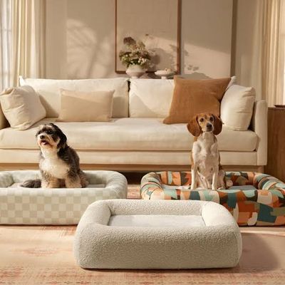 Pet Beds & Furniture