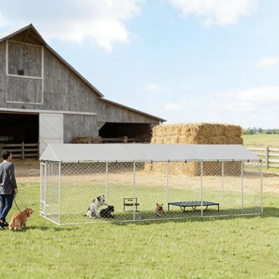 Outdoor Pet Kennel, Large Dog Kennel - Silver