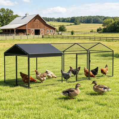 Spacious Chicken Coop, Duck Coop, Outdoor Chicken Run, Pet Cage