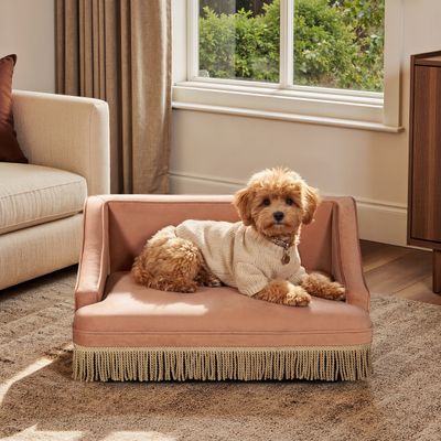Duchess 33 Medium Princess Pet Bed Sofa with Fringe Skirt - Orange