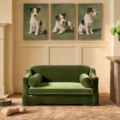 Paloma 35.5" Dog Sofa Bed, Medium, Olive Green Performance Velvet