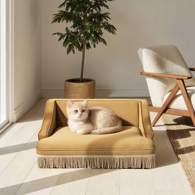 Duchess 33 Medium Princess Pet Bed Sofa with Fringe Skirt - Yellow
