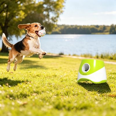Fun & Engaging Ball Launcher - Green