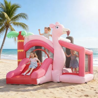 Outdoor Inflatable Bouncy Castle, Inflatable Bounce House - Pink, Red