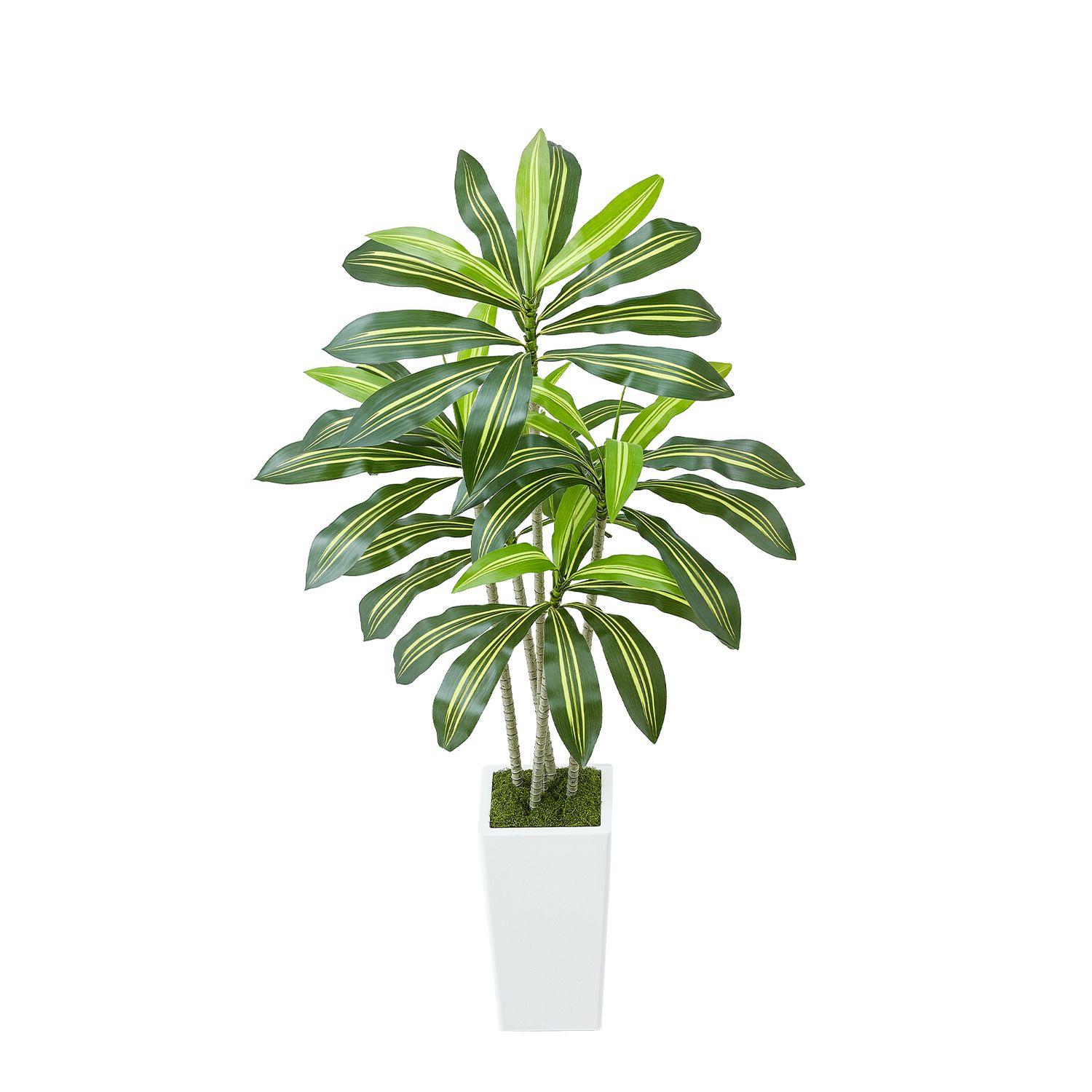 Artificial Dracaena Tree 5 ft - Green Artificial Dracaena Tree 5 ft - Green