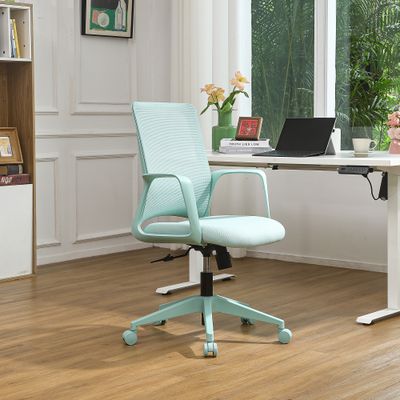 Executive Office Ergonomic Mesh Chair 350LBS - Cyan