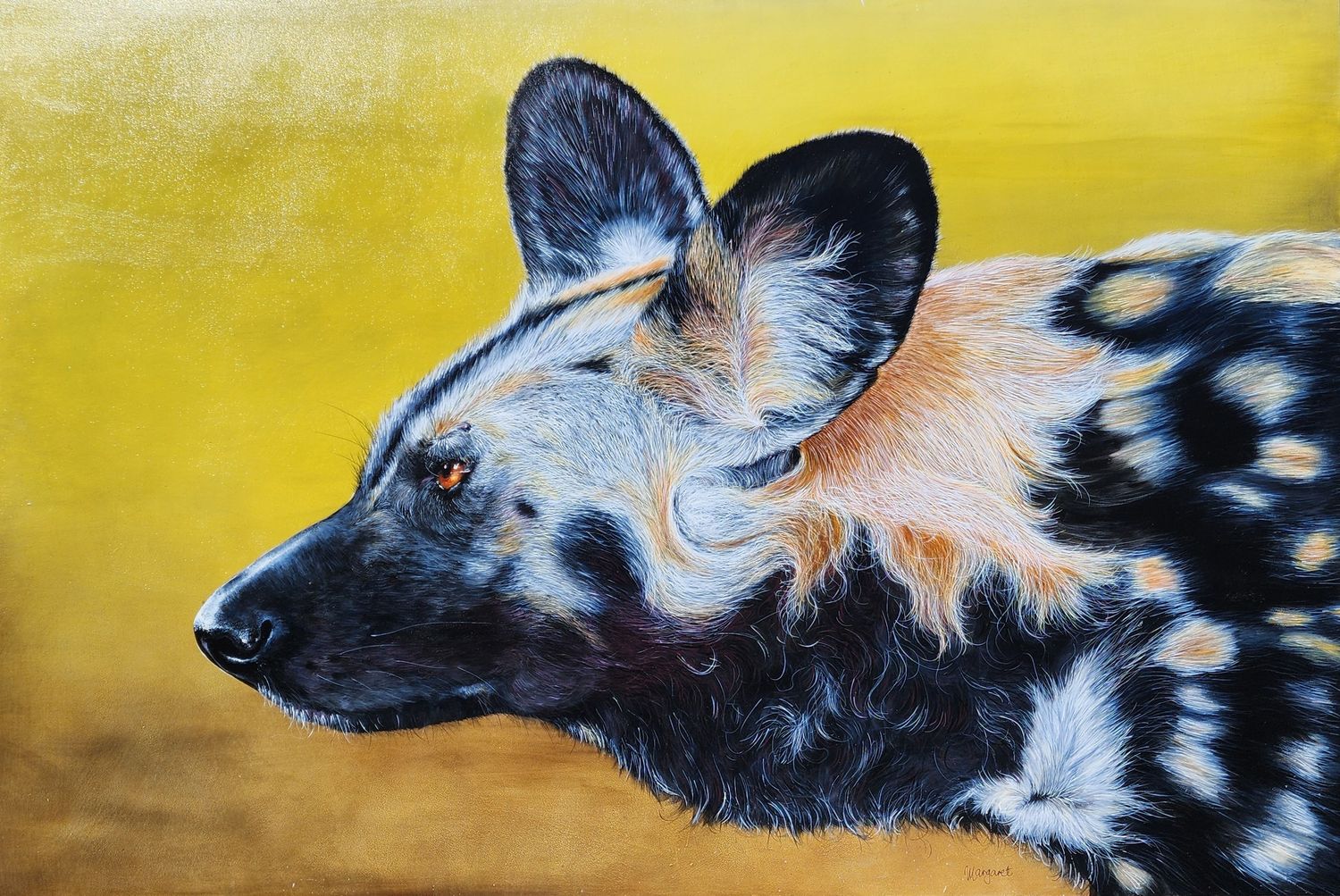 African Wild Dog