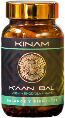 REISHI + RHODIOLA + MACA