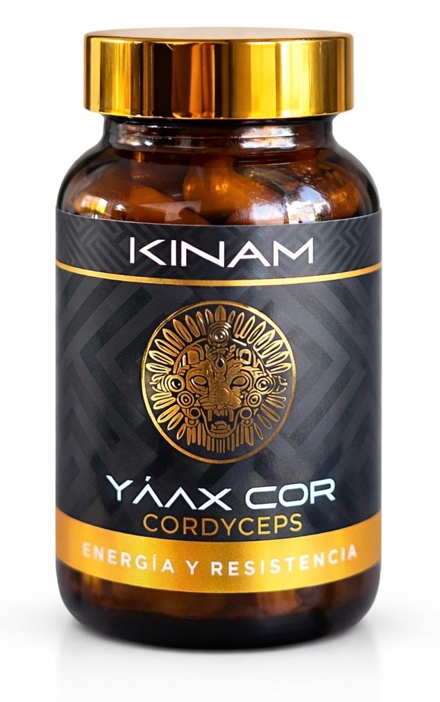 ENERGIA Y RESISTRENCIA  (cordyceps)