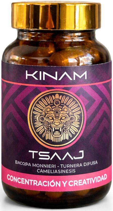 CONCENTRACION Y CREATIVIDAD  (bacopa+damiana+te verde)