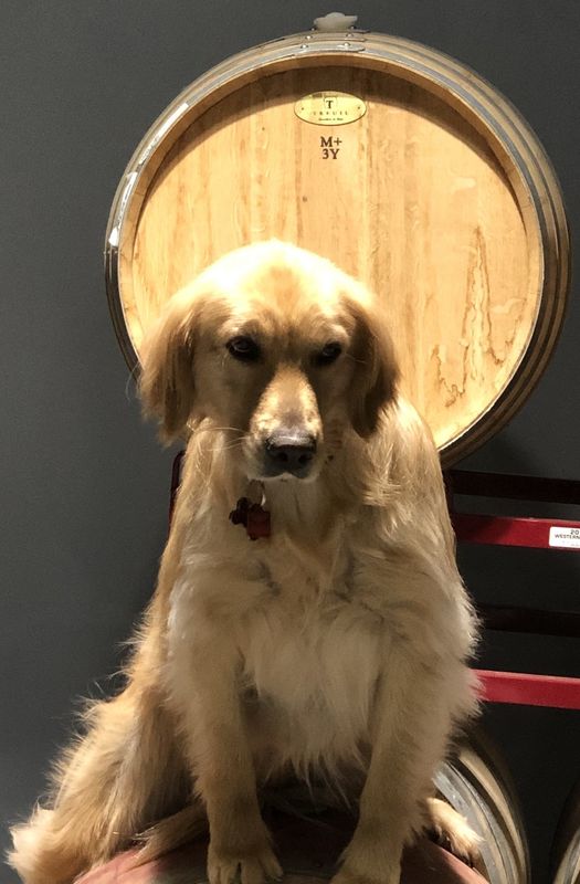 Palmero Family Vineyard Wine Club