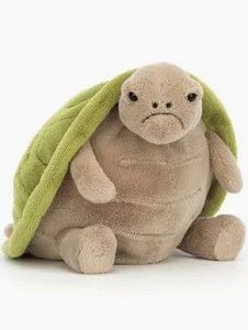TIMMY TURTLE