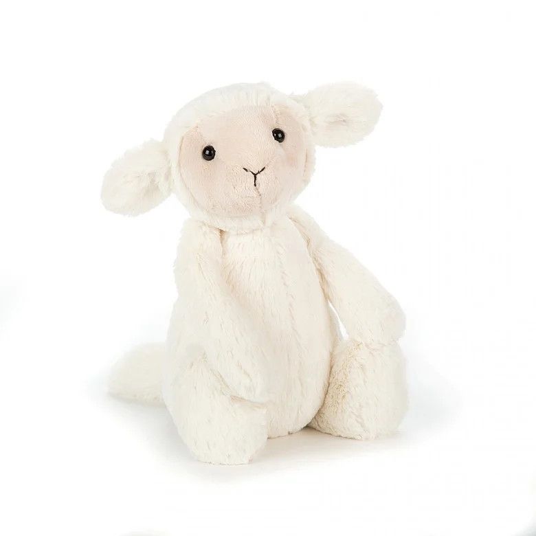 BASHFUL LAMB LITTLE SMALL