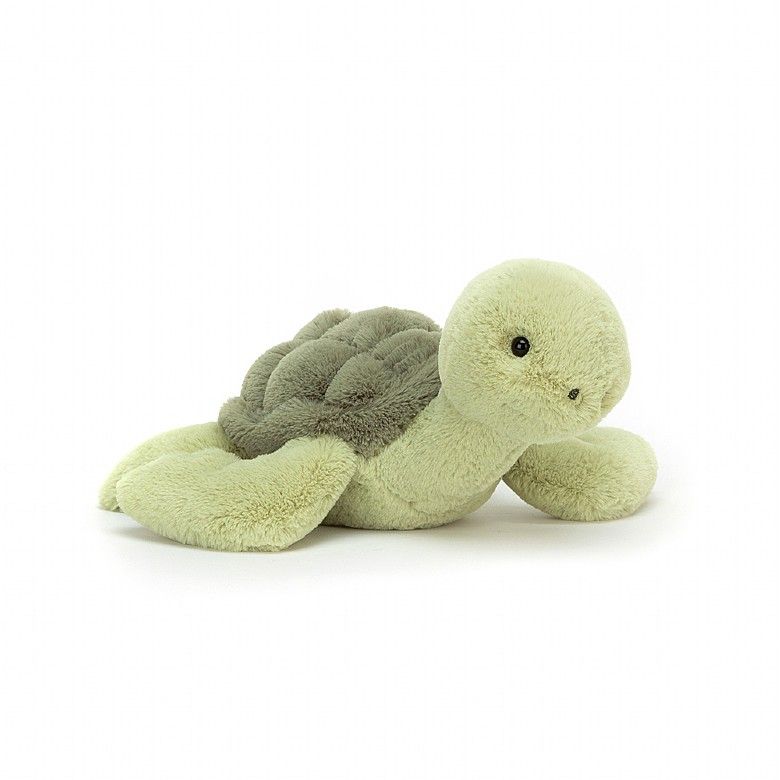 BASHFULL TURTLE SMALL