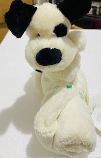 BASHFUL BLK/CRM PUPPY