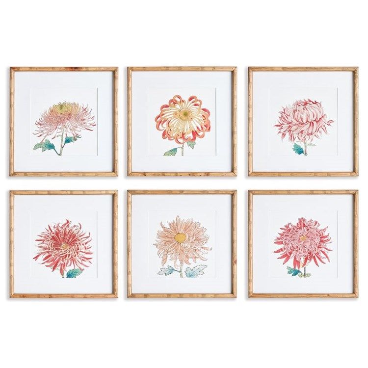 COLORFUL CHRYSANTHEMUM PRINT 19.5W X 19.5H