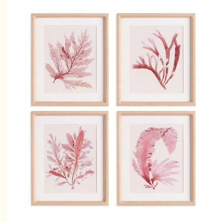 S/4  WATERCOLOR SEAWEED PRINTS  14.5W  X  17.5H