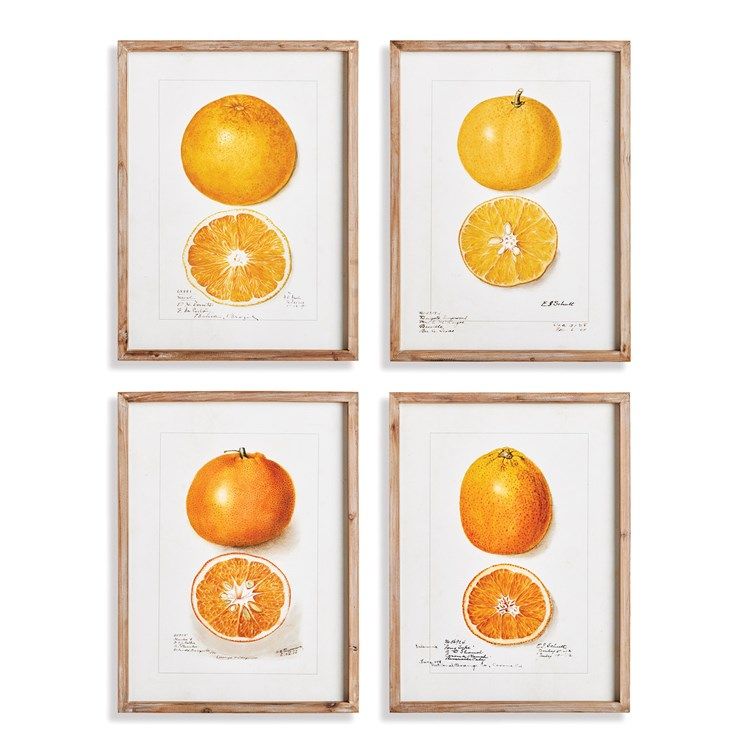 S/4  CITRUS STUDY  17.5W X 24H
