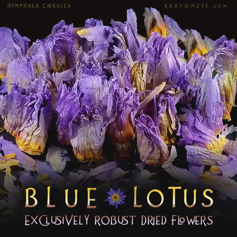 Blue lotus (Dried Flowers) / Ounce