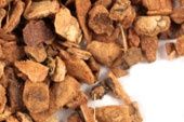 Cramp bark
