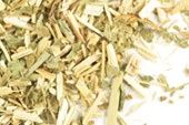 Meadowsweet herb c/s