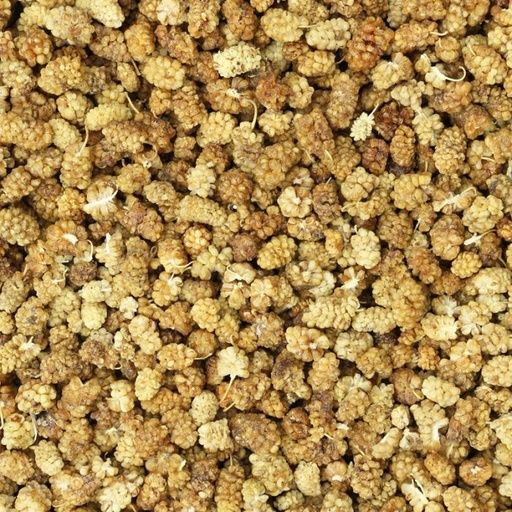 Organic Dried Mulberries
