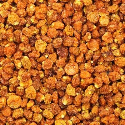 Organic Dried Inca Berries