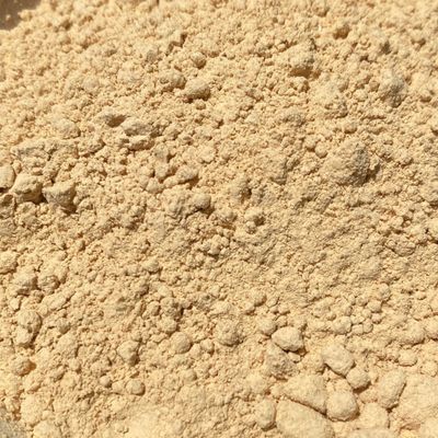 Lion&#39;s Mane Mushroom Powder