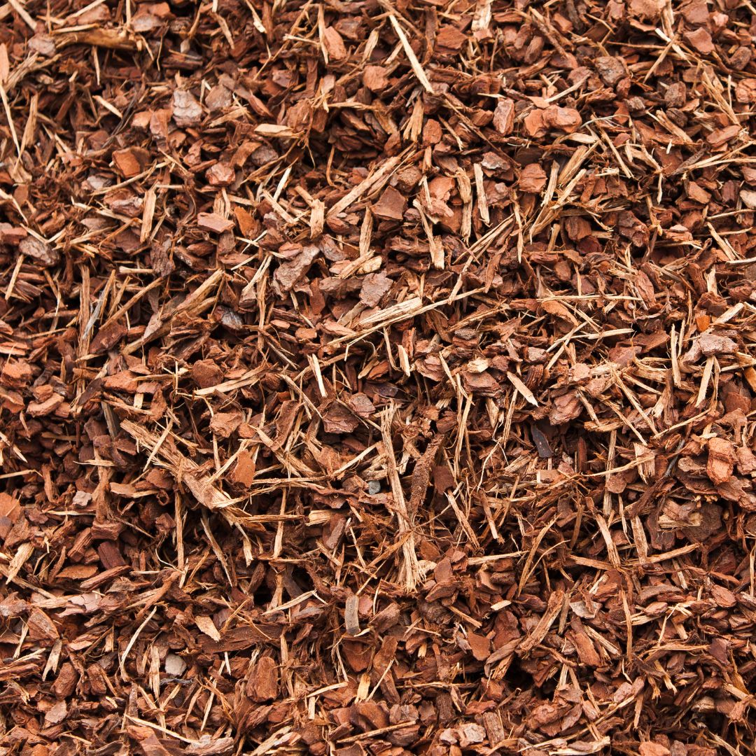 Organic Rooibos