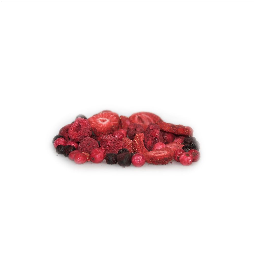 Organic Freeze-Dried Forest Fruit Mix