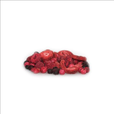 Organic Freeze-Dried Forest Fruit Mix